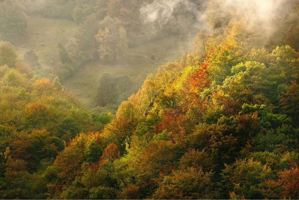 Parque Natural de Fuentes del Narcea