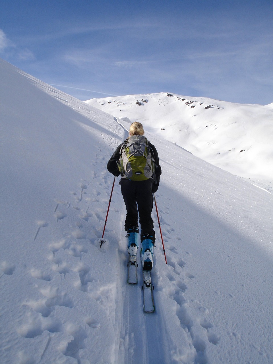 backcountry skiiing, ski touring, to ski, ski tourers, outdoor, winter sports, sports, skiing, ski, ultental, south-tirol, alpine, alps, bearing stone, skiing, skiing, skiing, skiing, skiing, ski, ski